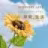 你好