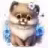Lancy Lew