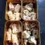 Wangxiaozeng