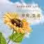 你好